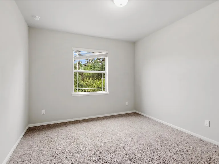 367 Black Walnut Dr — Photo 23