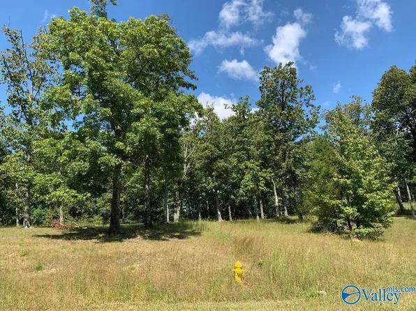 141 Ridgecreek Dr, Gurley, AL 35748