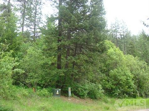 Crumps      June 1 010