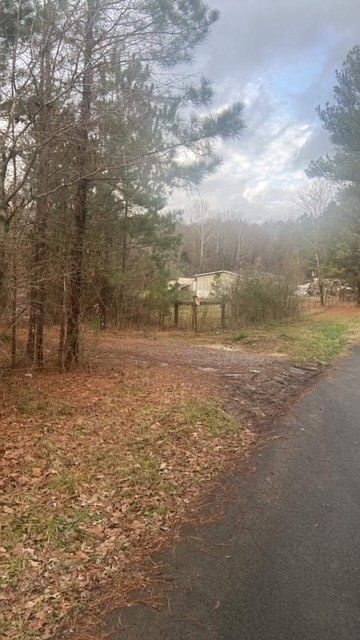 2nd image of 0 Elliston Rd SE