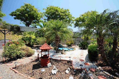 1st image of 12691 Buckwheat Ct