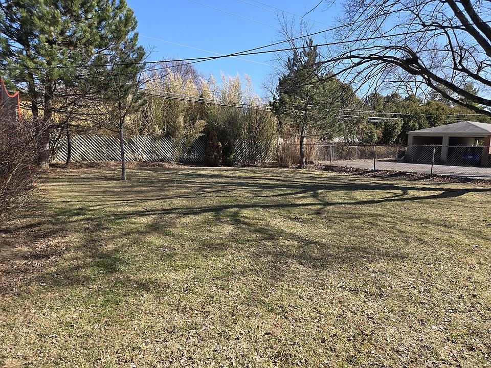 Shared Back Yard