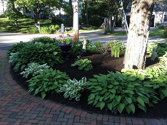 Driveway Landscaping 