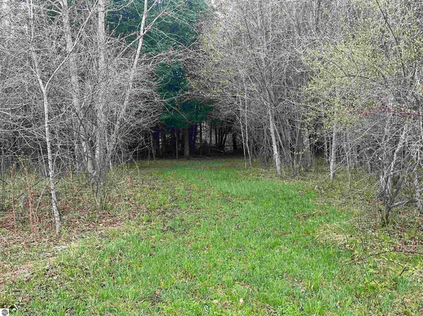 0 Wallin Rd, Interlochen, MI 49643