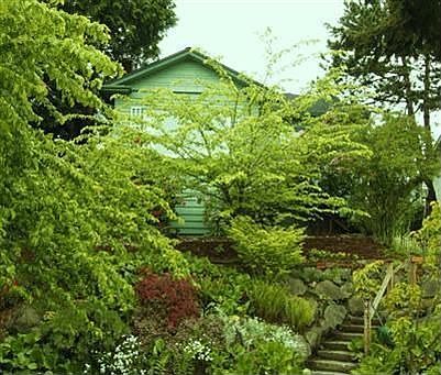 House from steet faces east