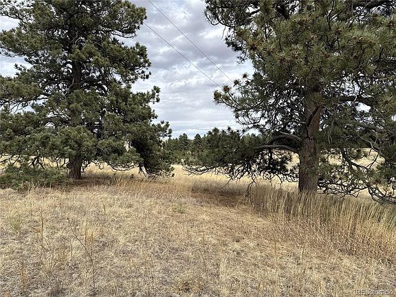 4th image of 39080 County Road 21