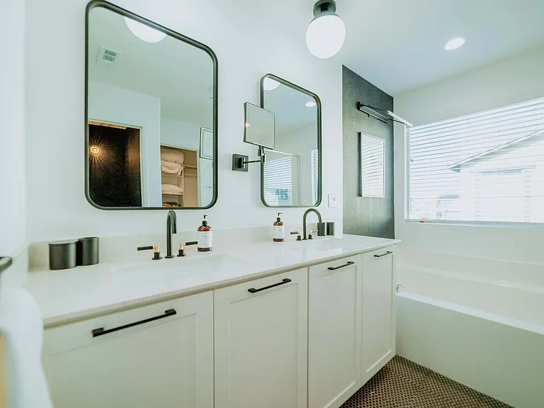Master Suite Bathroom
