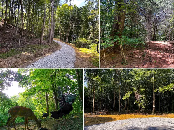 33114 Parkinson Rd Tract 10, Langsville, OH 45741