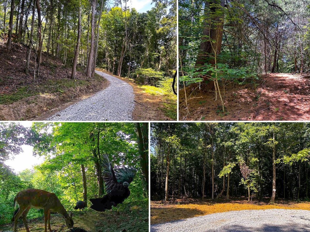 Real estate listing image