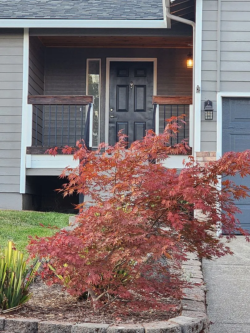 Lovely Remodeled Single Family Home in Lafayette — Photo 1