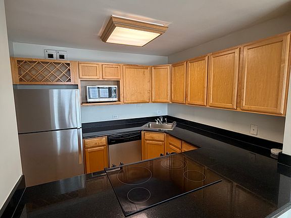 4th image of 525 W Hawthorne Pl APT 1907