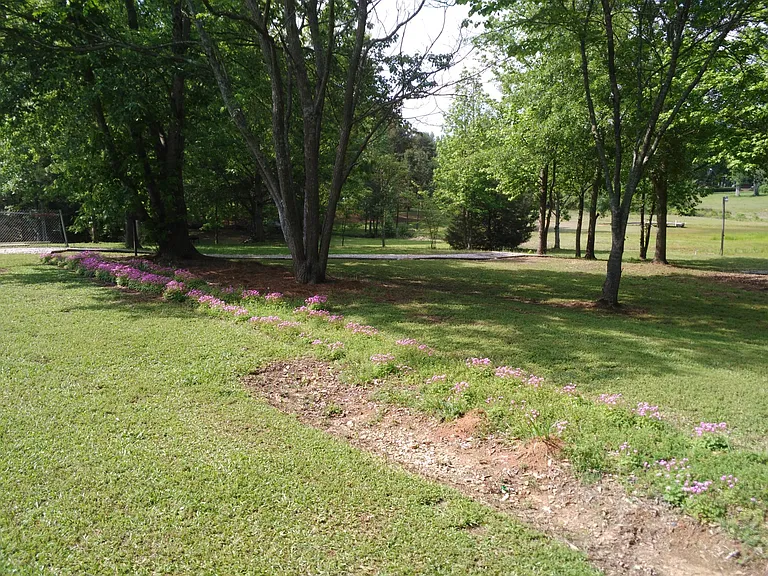 Side yard