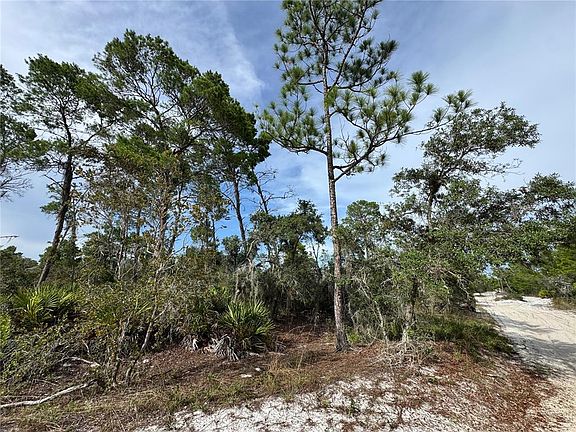 4th image of 2117 GARDENIA TERRACE LOT 3