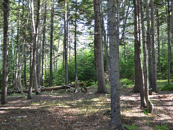 3rd image of 12 Ocean Ridge Road