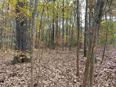 TRACT 6 E River Bend Dr, Eatonton, GA, 31024