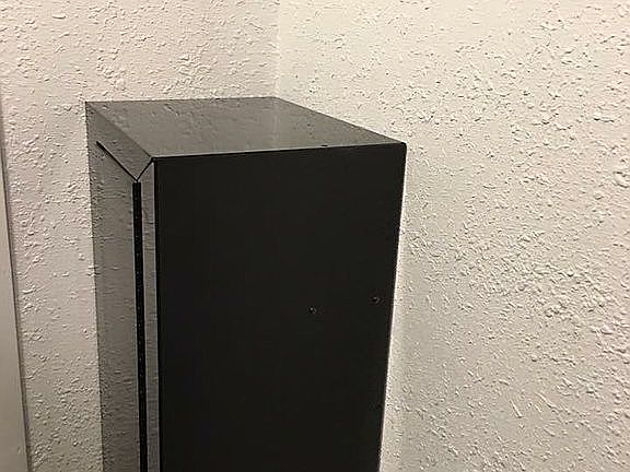 Gun cabinet in master closet