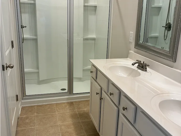 Master bath shower and vanity