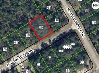 99 W Gondolier Pl, Citrus Springs, FL 34434