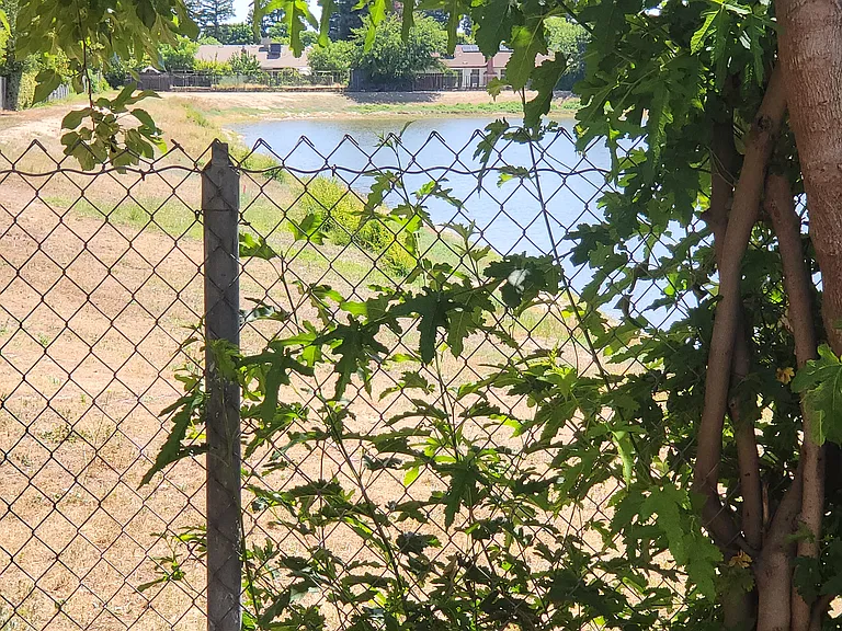 View from patio towards pond