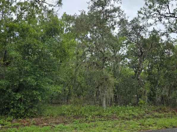 1308 N Prospect Ave, Lecanto, FL 34461