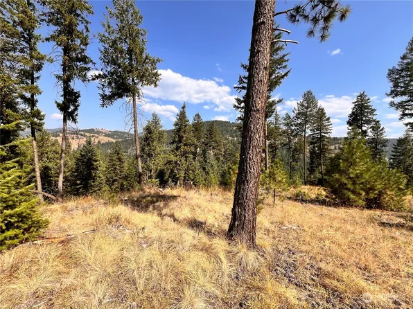 0 TBD Little Goosmus Road, Curlew, WA 99118