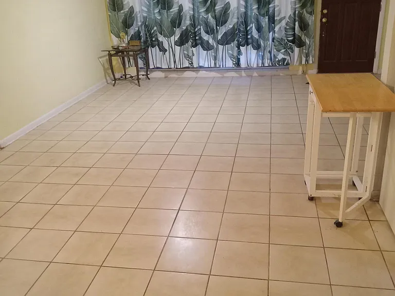 Living room space, with brown front door, without the couches. Very spacious.
