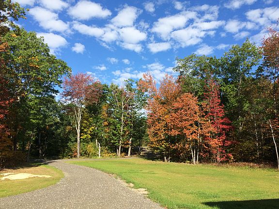 Fall Foliage!
