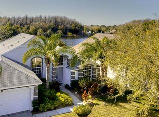 13520 White Elk Loop, Tampa, FL 33626