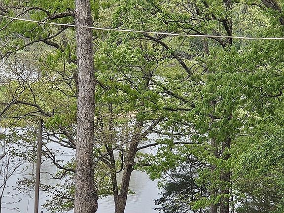 3rd image of Lake Loop