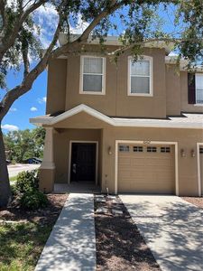 10402 Tulip Field Way, Riverview, FL, 33578