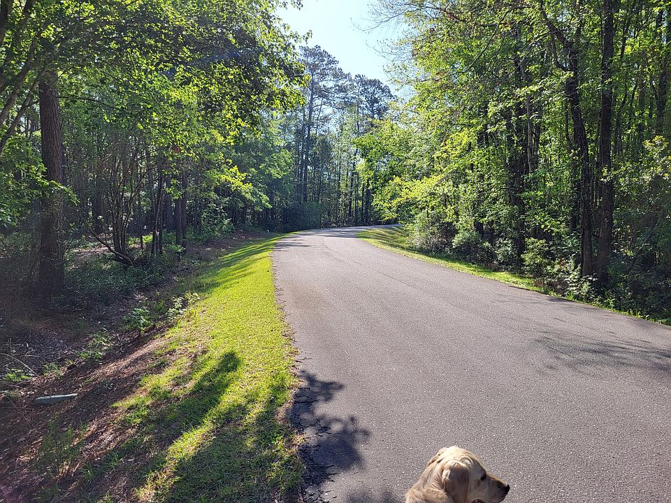 Neighborhood street pic 1
