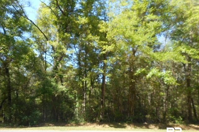 1st image of Park Dr