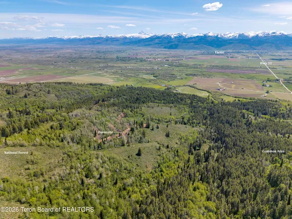 5 Labra Ln, Victor, ID 83455