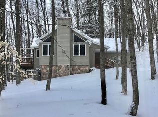 3920 Vandermark Rd, Bellaire, MI 49615