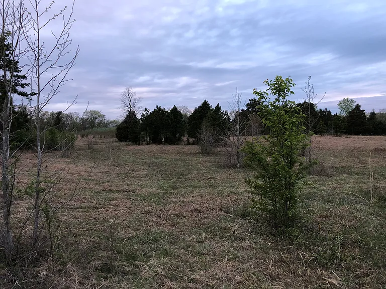 940 County Road 534 — Photo 9