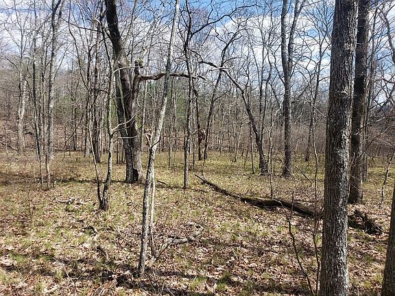 4th image of 14 Berlingwood Ct