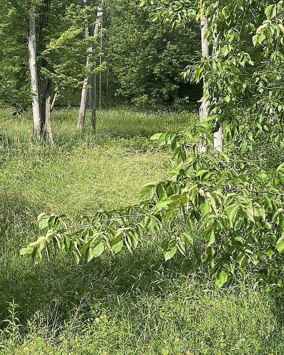 Vl N Lapeer Rd, Fostoria, MI 48435 MLS 20230050664 Zillow