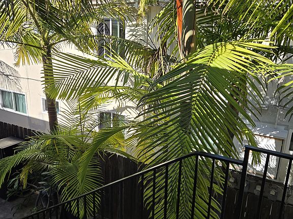 2nd image of 4467 Texas St #8