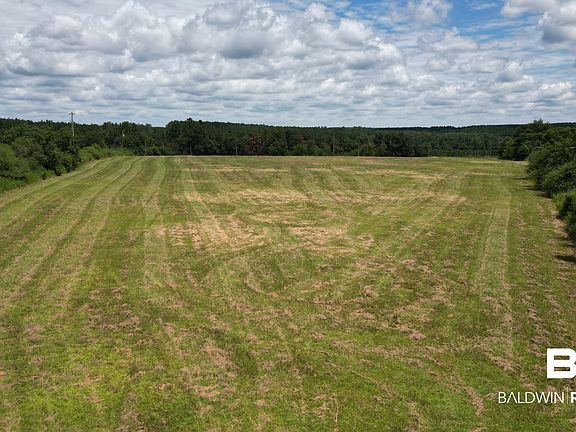 5th image of 24630 Kimbler Rd