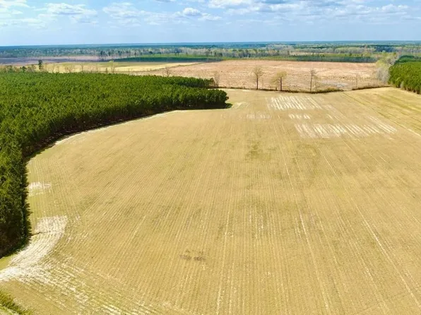 Black Mingle Rd, Gates, NC 27937