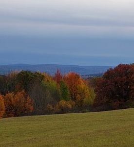 900 Town Line Rd, Johnson City, NY, 13790
