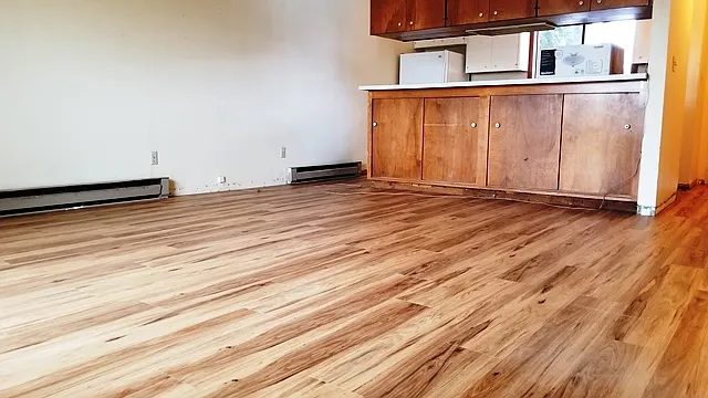 2 large bedroom 1 bath, nice quiet apartment. — Photo 4
