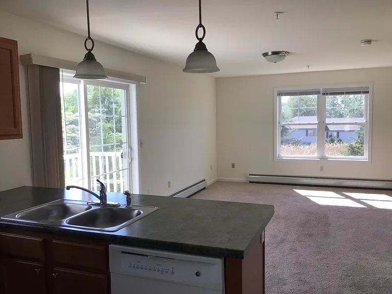 Kitchen and living room