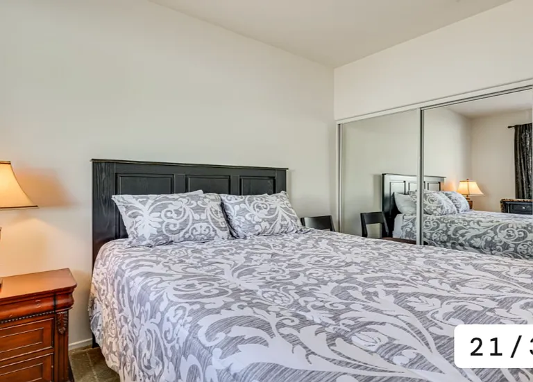 30312 Carob Tree Cir — Photo 23