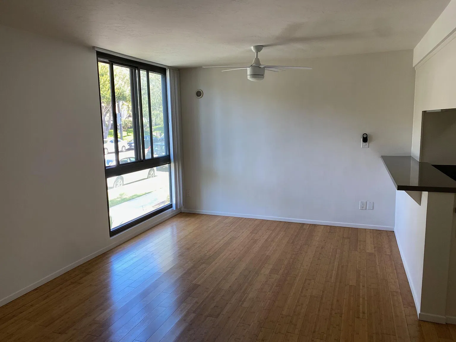 3 bed, 1200 sqft, $3,695 — Photo 3