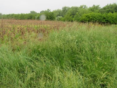 0 S Zilm Rd, Wilmington, IL, 60481