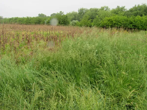 0 S Zilm Rd, Wilmington, IL 60481