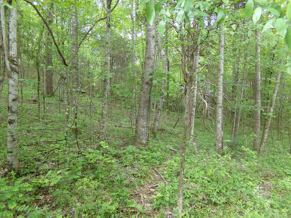 0 The Vw Pulaski, TN, 38478 Apartments for Rent Zillow