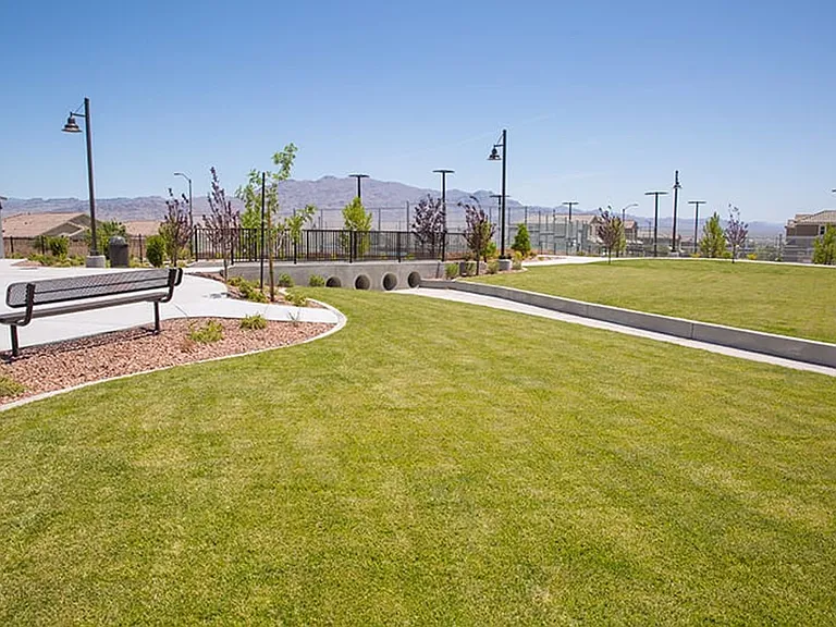 10025 Desert Bighorn Ct — Photo 80