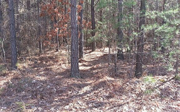 3rd image of Ridge Wood Lot 419